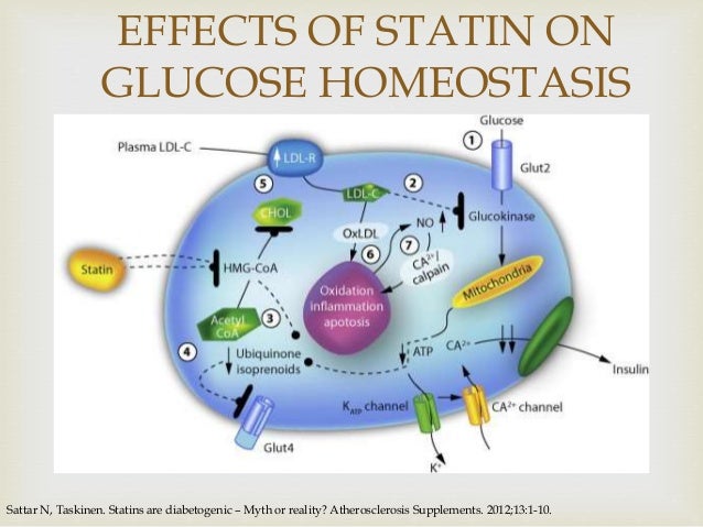 rosuvastatin side effects blood sugar