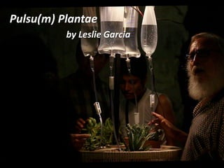 Pulsu(m) Plantae
by Leslie Garcia
 