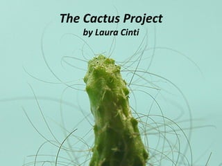 The Cactus Project
by Laura Cinti
 