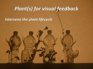 Plant(s) for visual feedback
Intervene the plant lifecycle
 