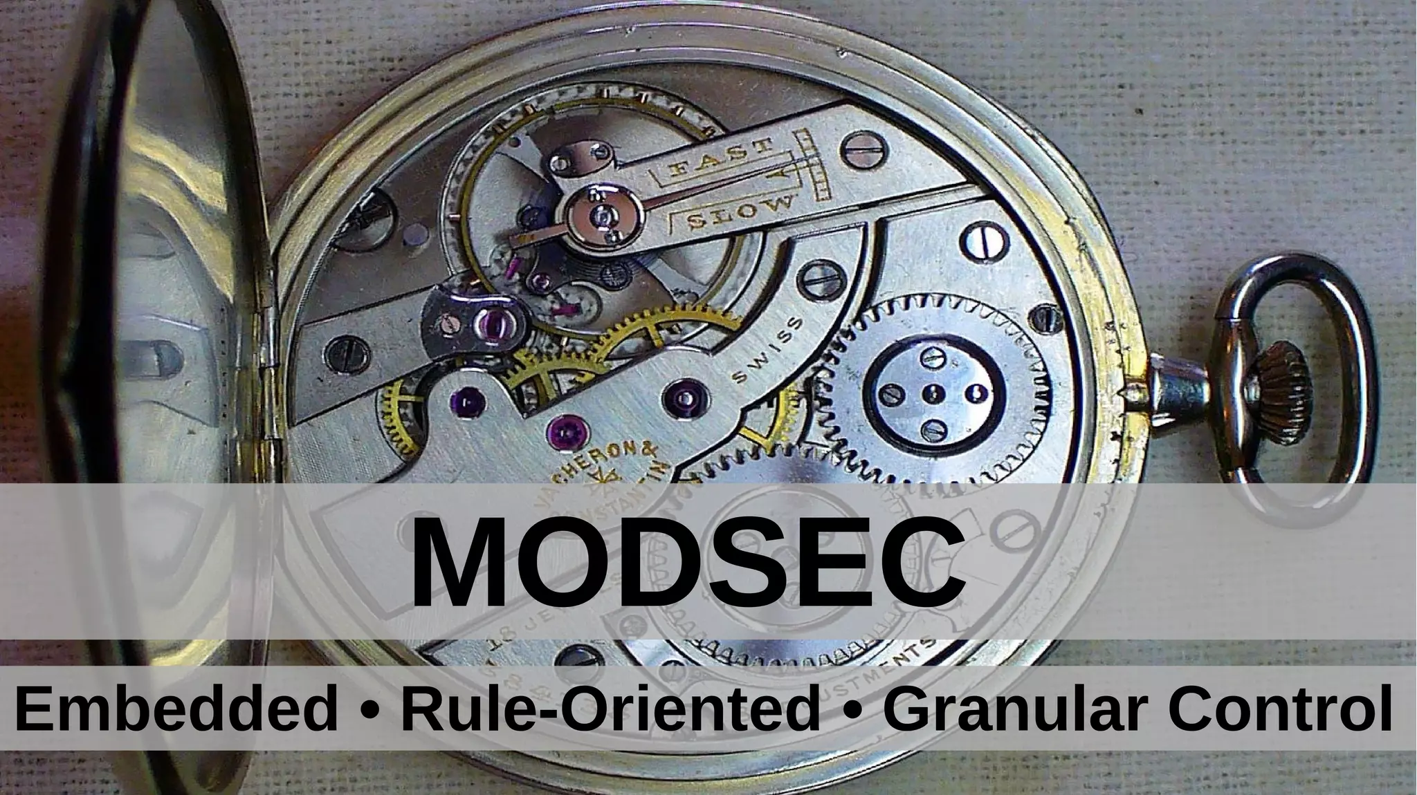 MODSEC
Embedded • Rule-Oriented • Granular Control
 