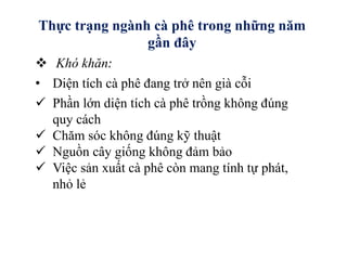 Thực trạng ngành cà phê trong những năm
gần đây
 Khó khăn:
• Diện tích cà phê đang trở nên già cỗi
 Phần lớn diện tích cà phê trồng không đúng
quy cách
 Chăm sóc không đúng kỹ thuật
 Nguồn cây giống không đảm bảo
 Việc sản xuất cà phê còn mang tính tự phát,
nhỏ lẻ
 