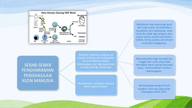 CTU211: Sains dan Teknologi Islam - Pengklonan Dalam Islam