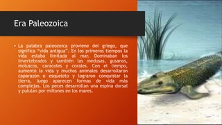 Era Paleozoica
• La palabra paleozoica proviene del griego, que
significa “vida antigua”. En los primeros tiempos la
vida estaba limitada al mar. Dominaban los
invertebrados y también las medusas, gusanos,
moluscos, caracoles y corales. Con el tiempo,
aumentó la vida y muchos animales desarrollaron
caparazón o esqueleto y lograron conquistar la
tierra, luego aparecen formas de vida más
complejas. Los peces desarrollan una espina dorsal
y pululan por millones en los mares.
 