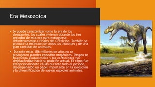 Era Mesozoica
• Se puede caracterizar como la era de los
dinosaurios, los cuales vivieron durante los tres
periodos de esta era para extinguirse
definitivamente a finales del Cretácico. También se
produce la extinción de todos los trilobites y de una
gran cantidad de animales.
• Durante estos 186 millones de años no se
produjeron grandes episodios orogénicos. Pangea se
fragmenta gradualmente y los continentes van
desplazándose hacia su posición actual. El clima fue
excepcionalmente cálido durante todo el período,
desempeñando un papel importante en la evolución
y la diversificación de nuevas especies animales.
 