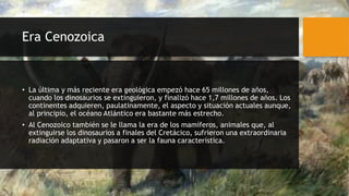 Era Cenozoica
• La última y más reciente era geológica empezó hace 65 millones de años,
cuando los dinosaurios se extinguieron, y finalizó hace 1,7 millones de años. Los
continentes adquieren, paulatinamente, el aspecto y situación actuales aunque,
al principio, el océano Atlántico era bastante más estrecho.
• Al Cenozoico también se le llama la era de los mamíferos, animales que, al
extinguirse los dinosaurios a finales del Cretácico, sufrieron una extraordinaria
radiación adaptativa y pasaron a ser la fauna característica.
 
