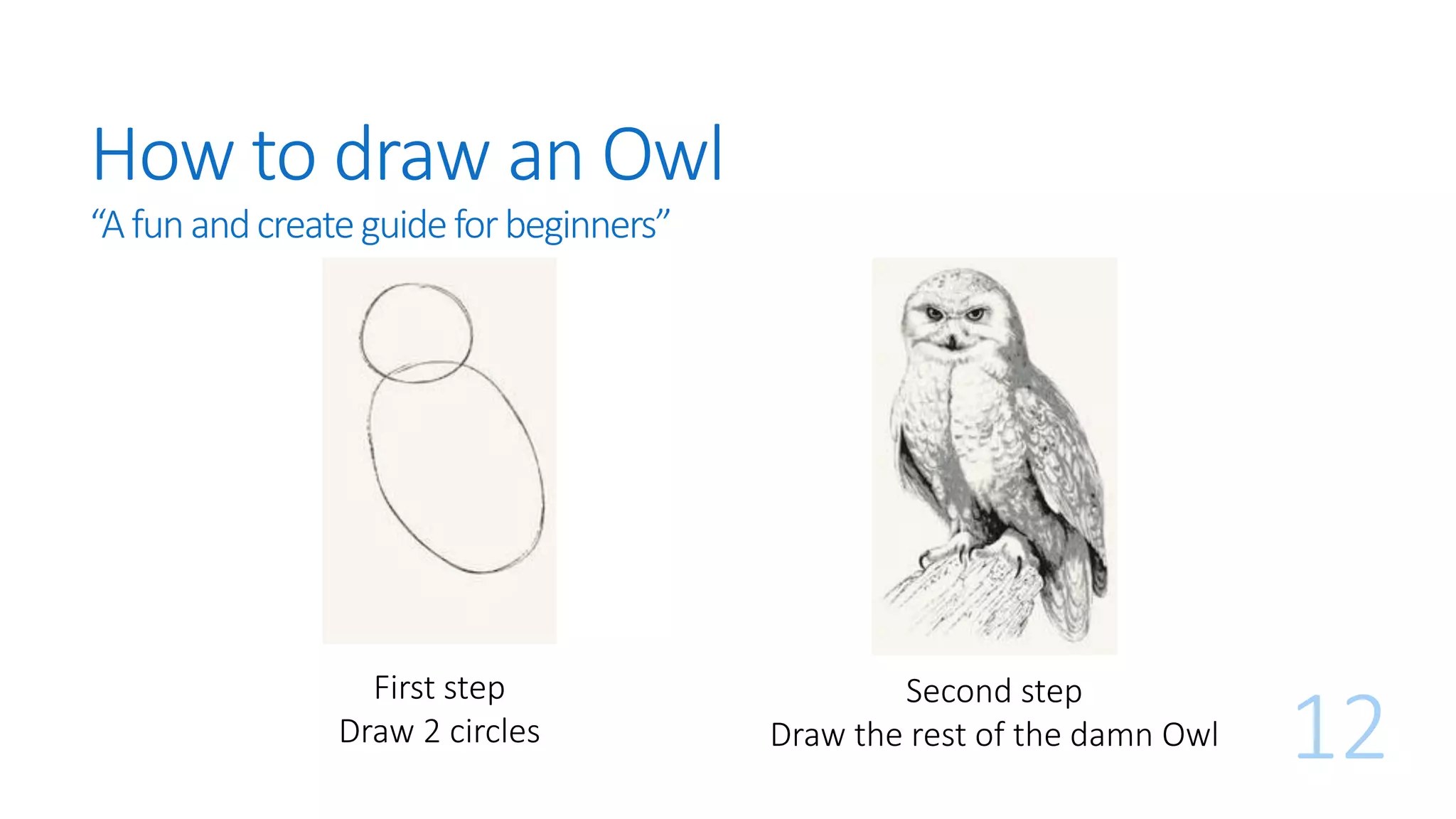 How to draw an Owl
12
“Afunandcreateguideforbeginners”
First step
Draw 2 circles
Second step
Draw the rest of the damn Owl
 