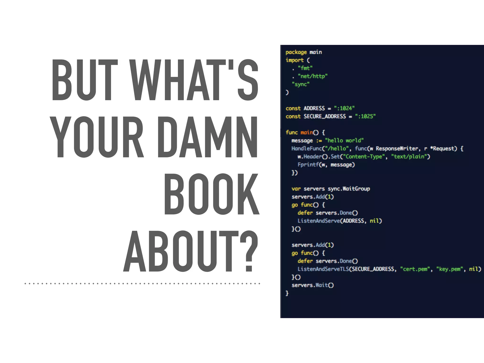 BUT WHAT'S
YOUR DAMN
BOOK
ABOUT?
 