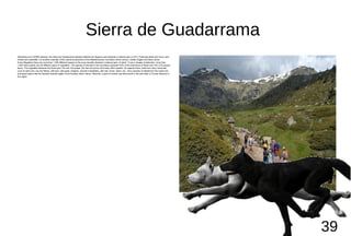 Sierra de Guadarrama
Stretching over 33,960 hectares, the Sierra de Guadarrama between Madrid and Segovia was declared a n...