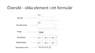 Översikt - olika element i ett formulär
Knapp
Text-fält (stort)
Text-fält
Checkboxar
Radioknappar
Drop-down meny
 