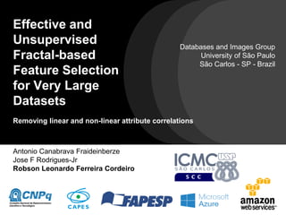 Effective and
Unsupervised
Fractal-based
Feature Selection
for Very Large
Datasets
Removing linear and non-linear attribute correlations
Antonio Canabrava Fraideinberze
Jose F Rodrigues-Jr
Robson Leonardo Ferreira Cordeiro
Databases and Images Group
University of São Paulo
São Carlos - SP - Brazil
 