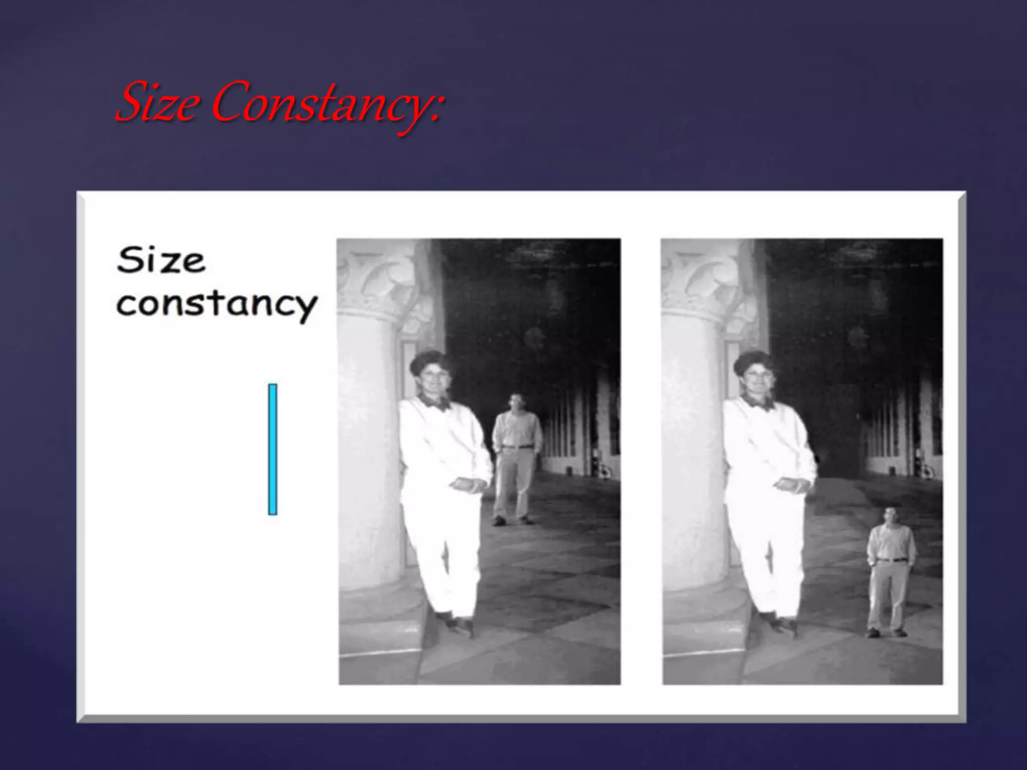 Size Constancy:
 
