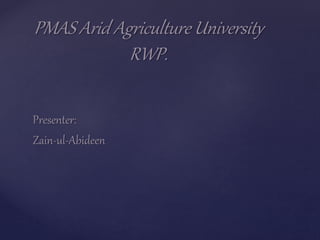 Presenter:
Zain-ul-Abideen
PMAS Arid Agriculture University
RWP.
 