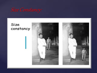 Size Constancy:
 