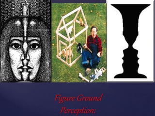 Perception and Illusion | PPT