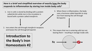 Biochemistry Alzheimer's Disease and Iron Presentation - Shayan Waseh ...