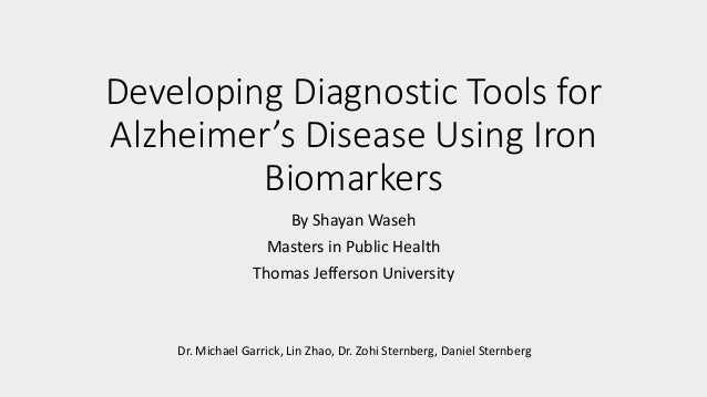 Alzheimer S And Iron Homeostasis