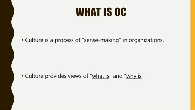Organization Behavior Organization Culture