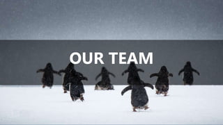 OUR TEAM
 