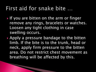  If you are bitten on the arm or finger
remove any rings, bracelets or watches.
Loosen any tight clothing in case
swelling occurs.
 Apply a pressure bandage to the bitten
limb. If the bite is to the trunk, head or
neck, apply firm pressure to the bitten
area. Do not restrict chest movement as
breathing will be affected by this.
 