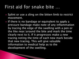  Splint or use a sling on the bitten limb to restrict
movement.
 If there is no bandage or equivalent to apply a
pressure bandage make note of any inflammation
by tracing the edge of the swelling with a pen or
the like near/around the bite and mark the time
clearly next to it. If it progresses make a new
tracing noting the time of each new mark beside
that new tracing. This will give valuable
information to medical help as to the
development of the swelling.
 