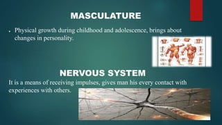 MASCULATURE
● Physical growth during childhood and adolescence, brings about
changes in personality.
NERVOUS SYSTEM
It is a means of receiving impulses, gives man his every contact with
experiences with others.
 