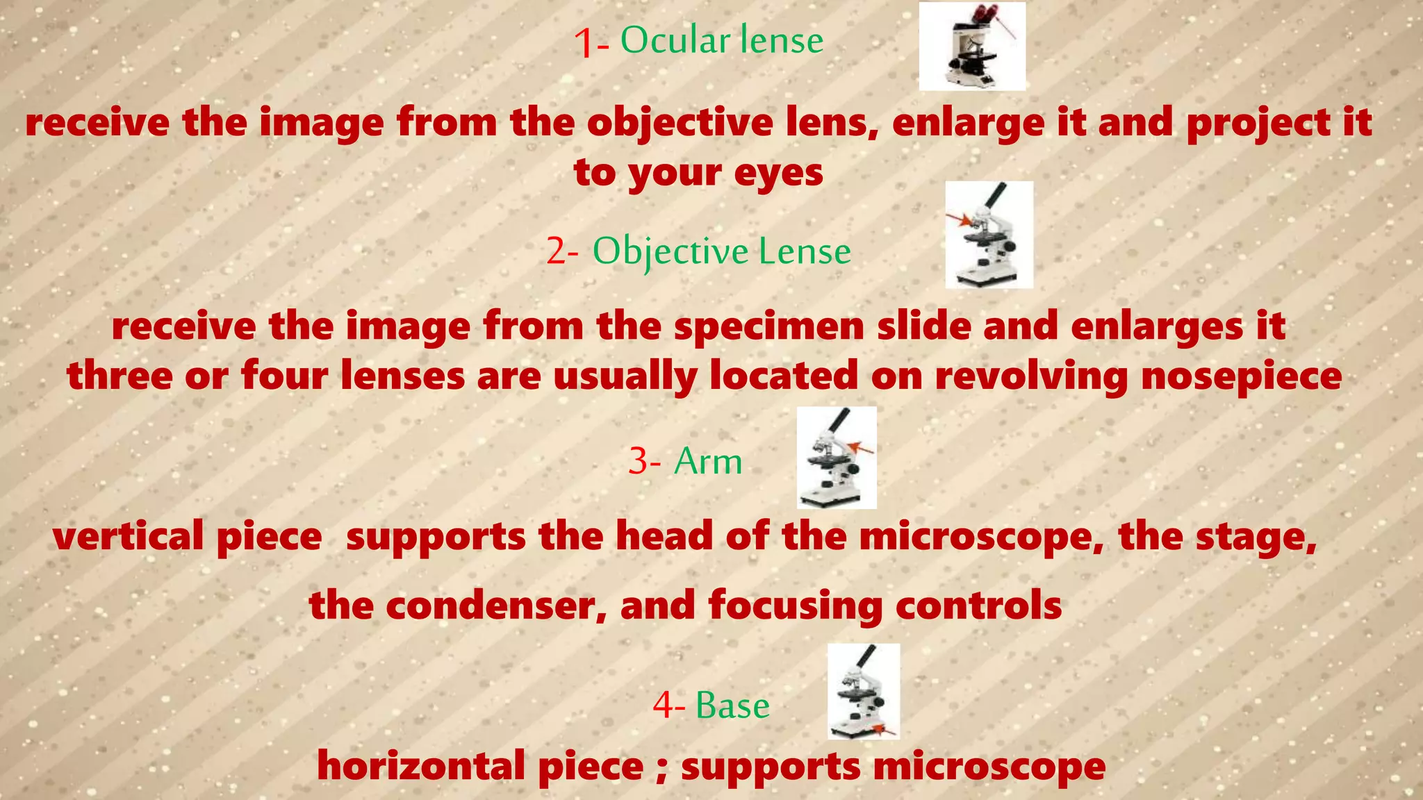 1- Ocularlense
receive the image from the objective lens, enlarge it and project it
to your eyes
3- Arm
vertical piece supports the head of the microscope, the stage,
the condenser, and focusing controls
2- Objective Lense
receive the image from the specimen slide and enlarges it
three or four lenses are usually located on revolving nosepiece
4- Base
horizontal piece ; supports microscope
 