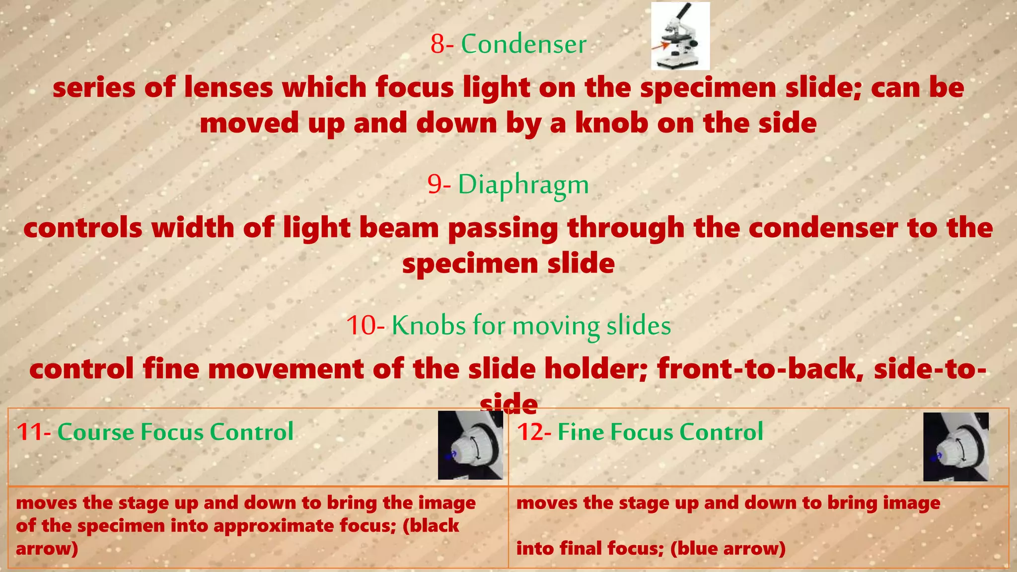 8- Condenser
series of lenses which focus light on the specimen slide; can be
moved up and down by a knob on the side
9- Diaphragm
controls width of light beam passing through the condenser to the
specimen slide
10- Knobs for moving slides
control fine movement of the slide holder; front-to-back, side-to-
side
12- FineFocus Control11- Course Focus Control
moves the stage up and down to bring image
into final focus; (blue arrow)
moves the stage up and down to bring the image
of the specimen into approximate focus; (black
arrow)
 