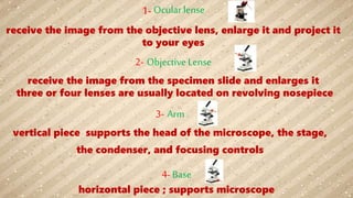 1- Ocularlense
receive the image from the objective lens, enlarge it and project it
to your eyes
3- Arm
vertical piece supports the head of the microscope, the stage,
the condenser, and focusing controls
2- Objective Lense
receive the image from the specimen slide and enlarges it
three or four lenses are usually located on revolving nosepiece
4- Base
horizontal piece ; supports microscope
 