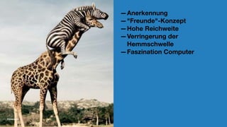 —Anerkennung
—"Freunde"-Konzept
—Hohe Reichweite
—Verringerung der
Hemmschwelle
—Faszination Computer
friolz.com
 