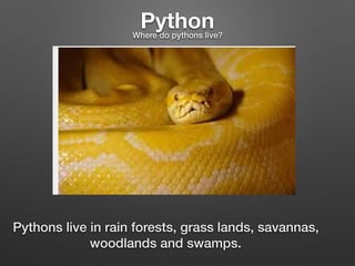 PythonWhere do pythons live?
Pythons live in rain forests, grass lands, savannas,
woodlands and swamps.
 
