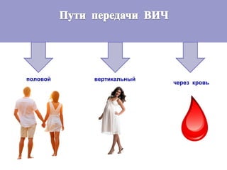 половой вертикальный
через кровь
 