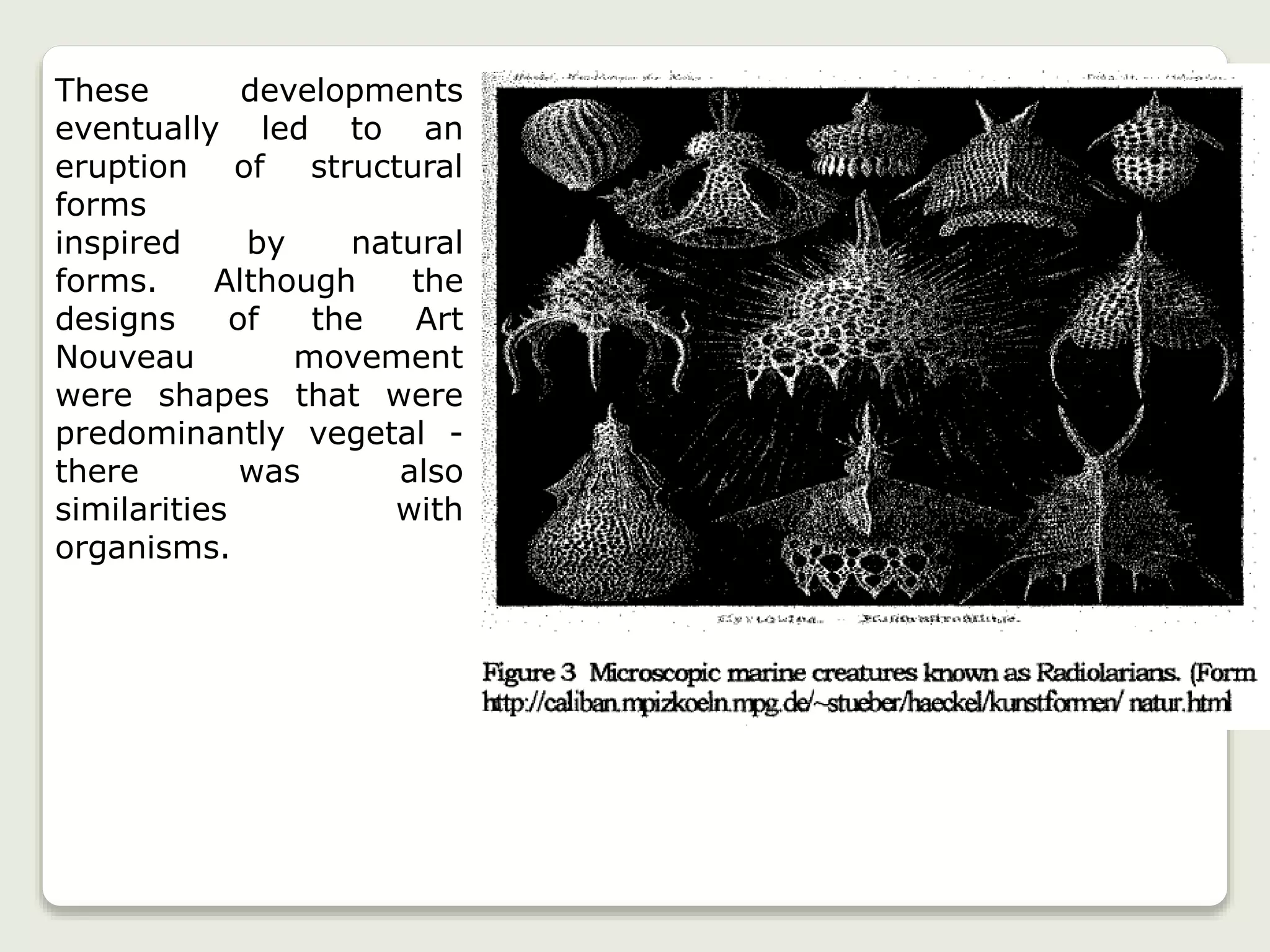 These developments
eventually led to an
eruption of structural
forms
inspired by natural
forms. Although the
designs of the Art
Nouveau movement
were shapes that were
predominantly vegetal -
there was also
similarities with
organisms.
 
