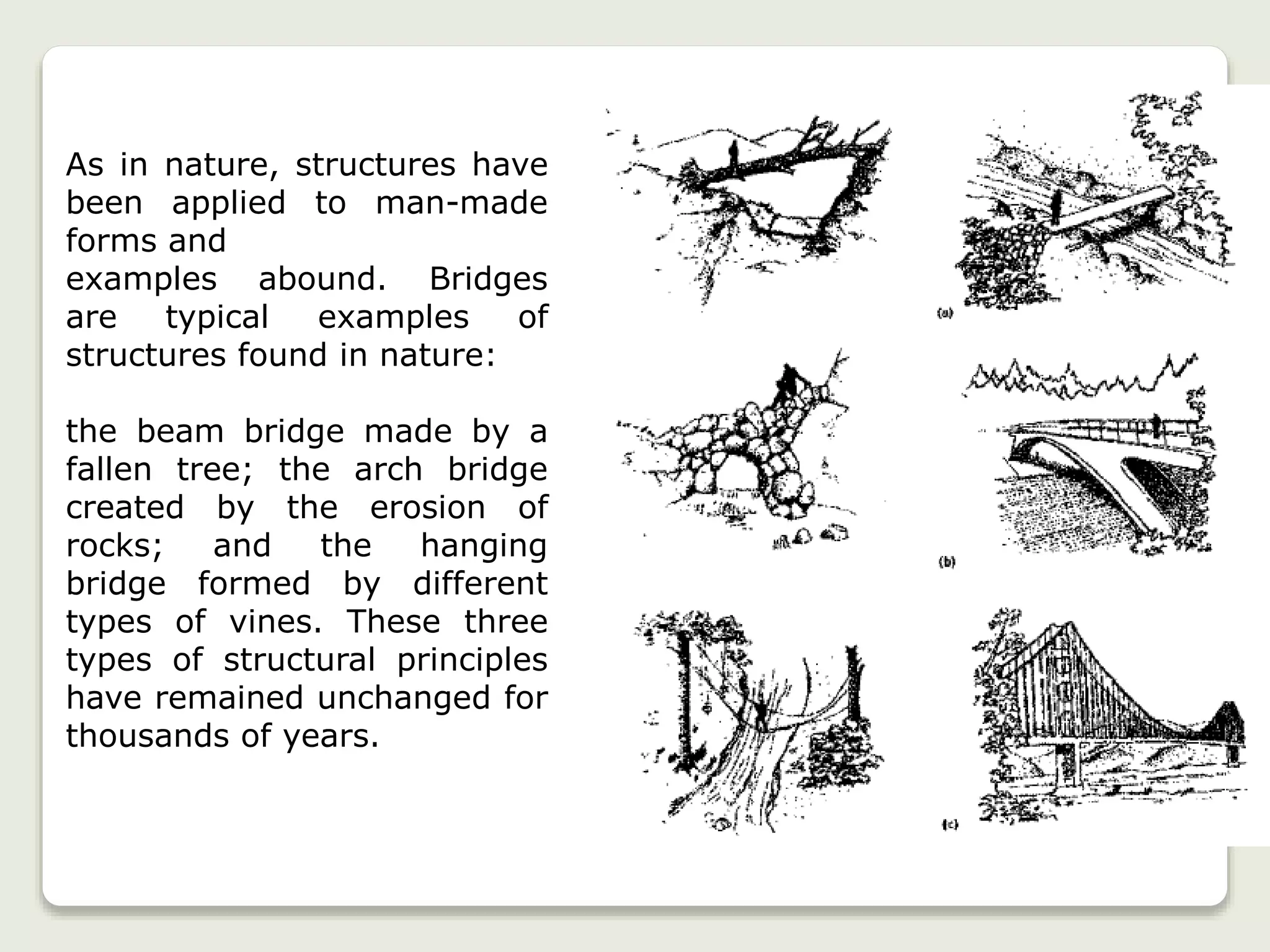 As in nature, structures have
been applied to man-made
forms and
examples abound. Bridges
are typical examples of
structures found in nature:
the beam bridge made by a
fallen tree; the arch bridge
created by the erosion of
rocks; and the hanging
bridge formed by different
types of vines. These three
types of structural principles
have remained unchanged for
thousands of years.
 