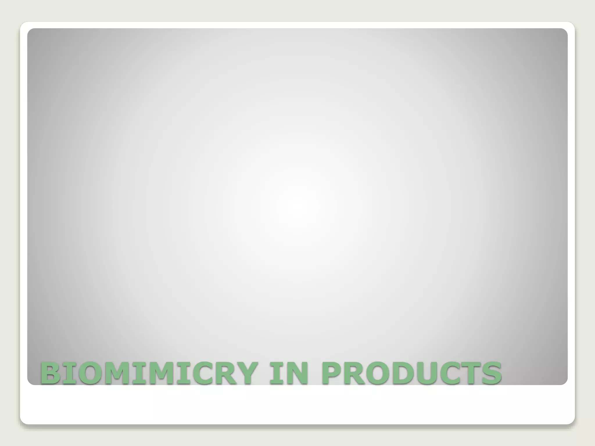BIOMIMICRY IN PRODUCTS
 