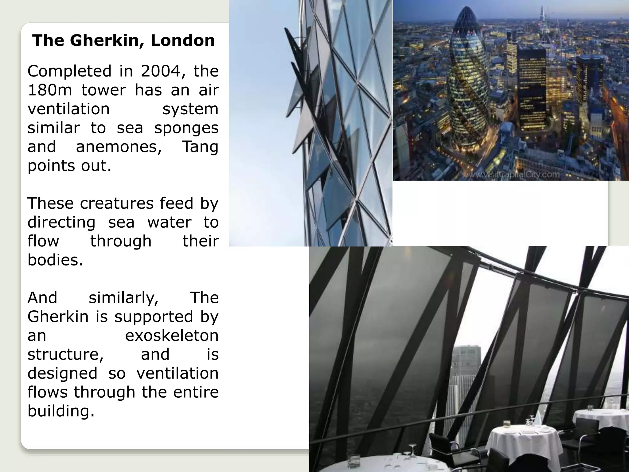 The Gherkin, London
Completed in 2004, the
180m tower has an air
ventilation system
similar to sea sponges
and anemones, Tang
points out.
These creatures feed by
directing sea water to
flow through their
bodies.
And similarly, The
Gherkin is supported by
an exoskeleton
structure, and is
designed so ventilation
flows through the entire
building.
 