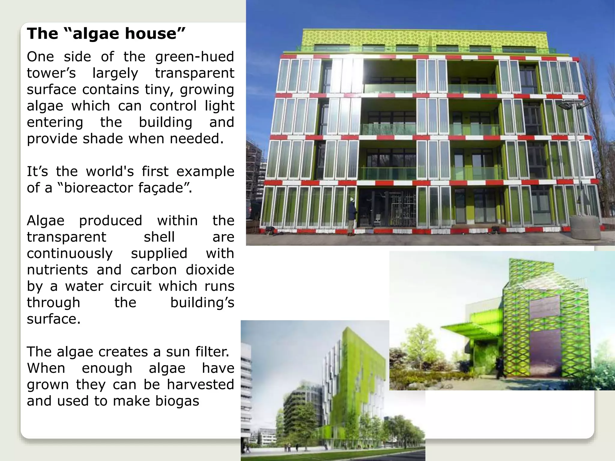 The “algae house”
One side of the green-hued
tower’s largely transparent
surface contains tiny, growing
algae which can control light
entering the building and
provide shade when needed.
It’s the world's first example
of a “bioreactor façade”.
Algae produced within the
transparent shell are
continuously supplied with
nutrients and carbon dioxide
by a water circuit which runs
through the building’s
surface.
The algae creates a sun filter.
When enough algae have
grown they can be harvested
and used to make biogas
 