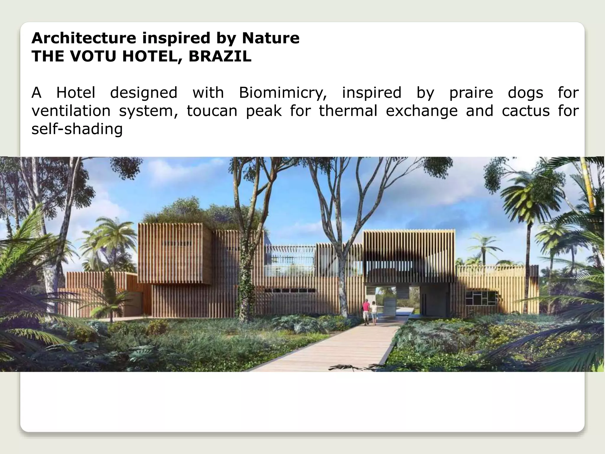 Architecture inspired by Nature
THE VOTU HOTEL, BRAZIL
A Hotel designed with Biomimicry, inspired by praire dogs for
ventilation system, toucan peak for thermal exchange and cactus for
self-shading
 