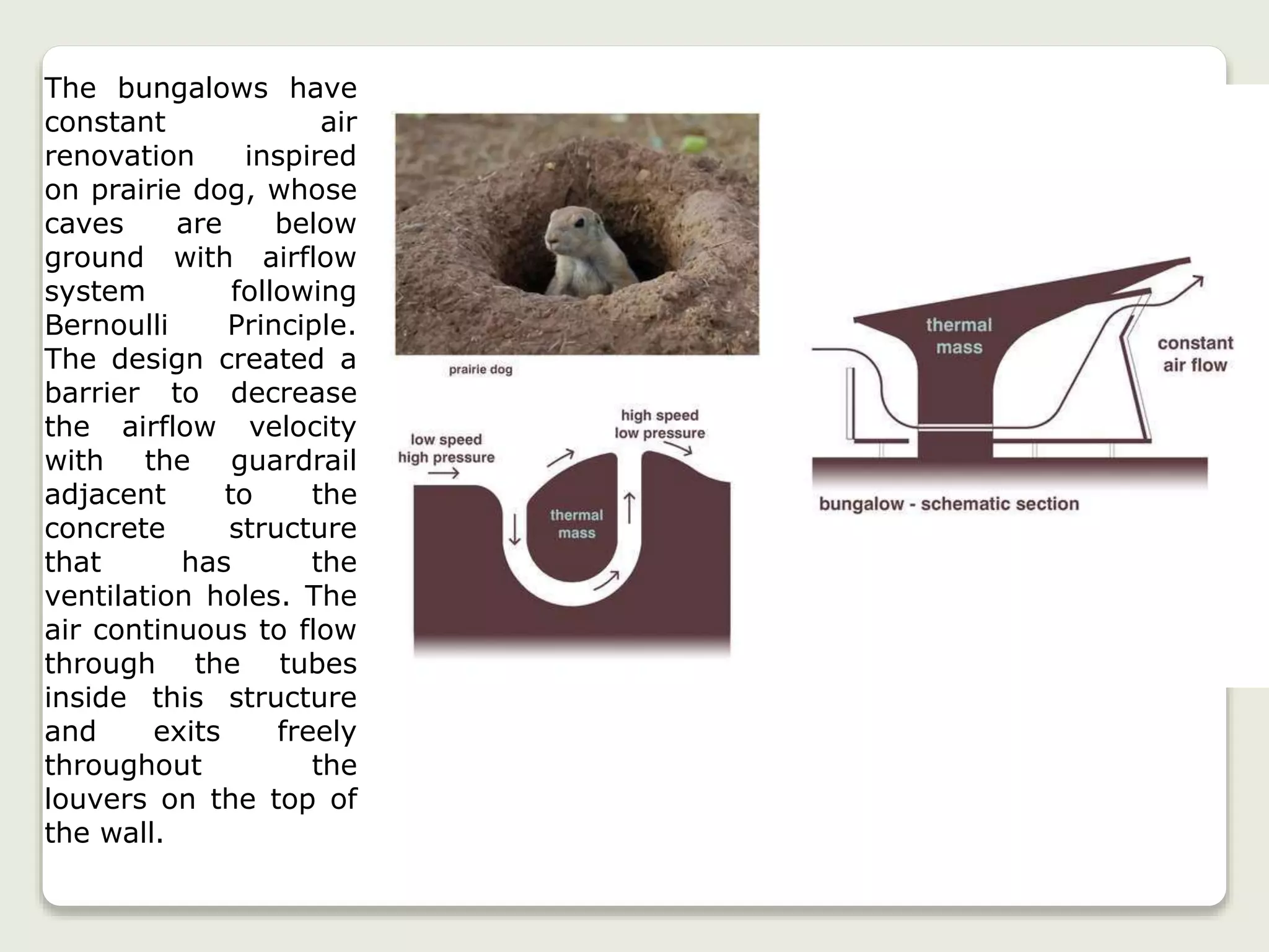 The bungalows have
constant air
renovation inspired
on prairie dog, whose
caves are below
ground with airflow
system following
Bernoulli Principle.
The design created a
barrier to decrease
the airflow velocity
with the guardrail
adjacent to the
concrete structure
that has the
ventilation holes. The
air continuous to flow
through the tubes
inside this structure
and exits freely
throughout the
louvers on the top of
the wall.
 
