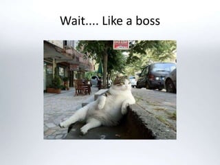 Wait.... Like a boss
 