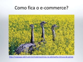 Como fica o e-commerce?
http://viajeaqui.abril.com.br/materias/emas-na-alemanha-intrusa-de-penas
 