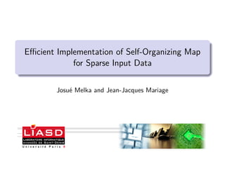 Eﬃcient Implementation of Self-Organizing Map
for Sparse Input Data
Josué Melka and Jean-Jacques Mariage
 