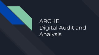 ARCHE
Digital Audit and
Analysis
 