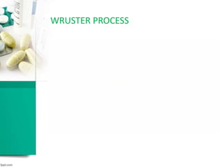WRUSTER PROCESS
 