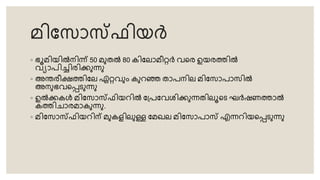 മിറ് ാസ്ടഫിയർ
◦ ഭൂമിയിൽനിന്ന് 50 മുെൽ 80 കിറ്ലാമീറർ വ്തര ഉയരത്തിൽ
വ്യാപിച്ചിരിക്കുന്നു
◦ അന്തരീക്ഷത്തിറ്ല ഏറവ്ും കുറഞ്ഞ ൊപനില മിറ് ാപാ ിൽ
അനുഭവ്തപരുന്നു
◦ ഉൽക്കകൾ മിറ് ാസ്ടഫിയറിൽ റ്്പറ്വ്ശിക്കുന്നെിലൂതര ഘർഷണത്താൽ
കത്തിോരമാകുന്നു.
◦ മിറ് ാസ്ടഫിയറിന് മുകളിലുള്ള റ്മഖല മിറ് ാപാസ്ട എന്നറിയതപരുന്നു
 