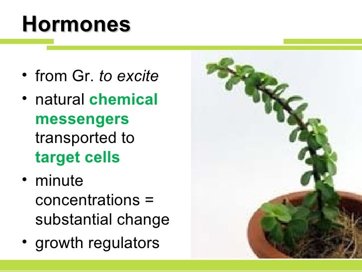 Presentation 18 Plant Hormones