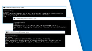 The Offensive Python: Practical Python for Penetration Testing | PPT
