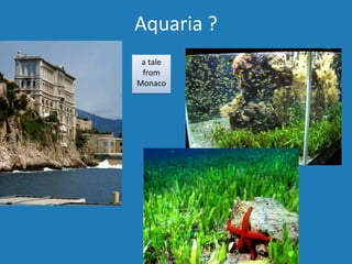a tale
from
Monaco
Aquaria ?
 