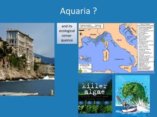 and its
ecological
conse-
quence
Aquaria ?
 