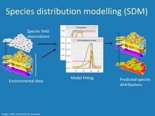 Image credit: Université de Lausanne
Species distribution modelling (SDM)
Species field
observations
Environmental data
Model fitting Predicted species
distributions
 